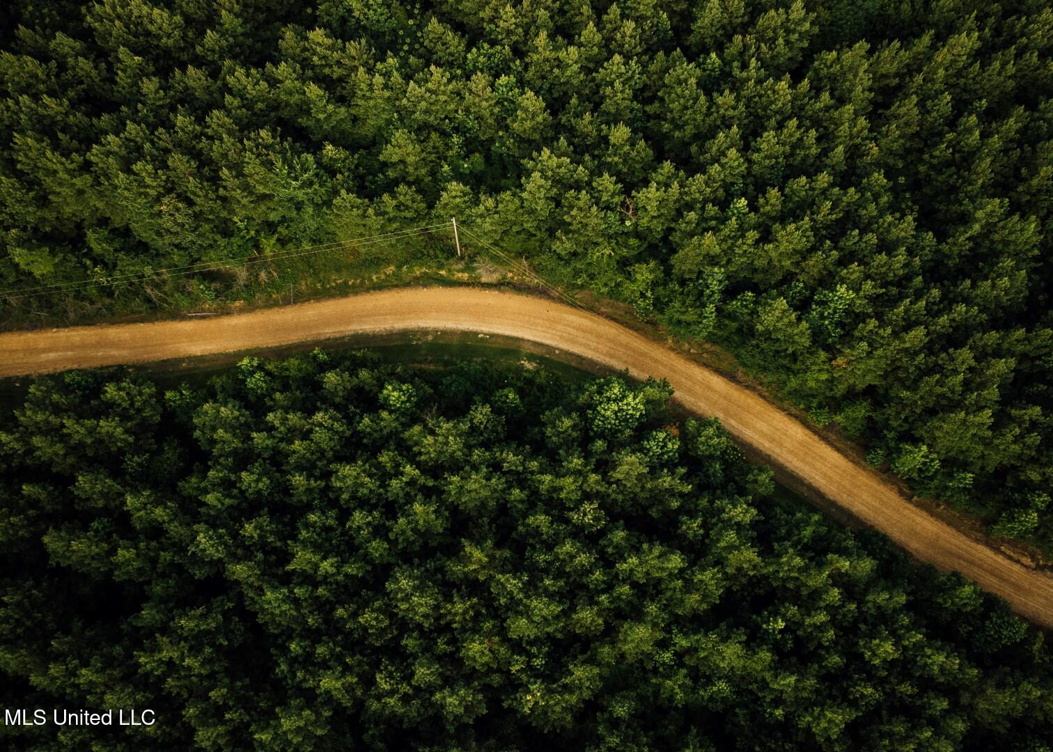 1267 Way Road Canton, MS 39046 - Photo 23 of 50 Castens Creek Pics-53