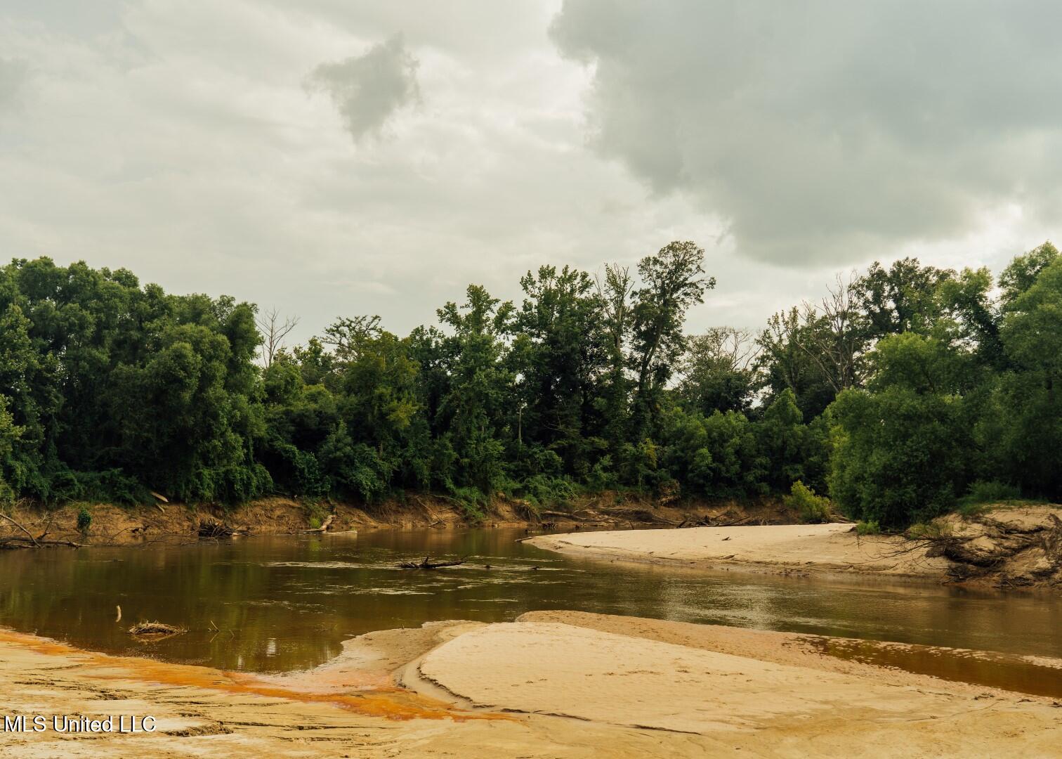 1267 Way Road Canton, MS 39046 - Photo 24 of 50 Castens Creek Pics-56