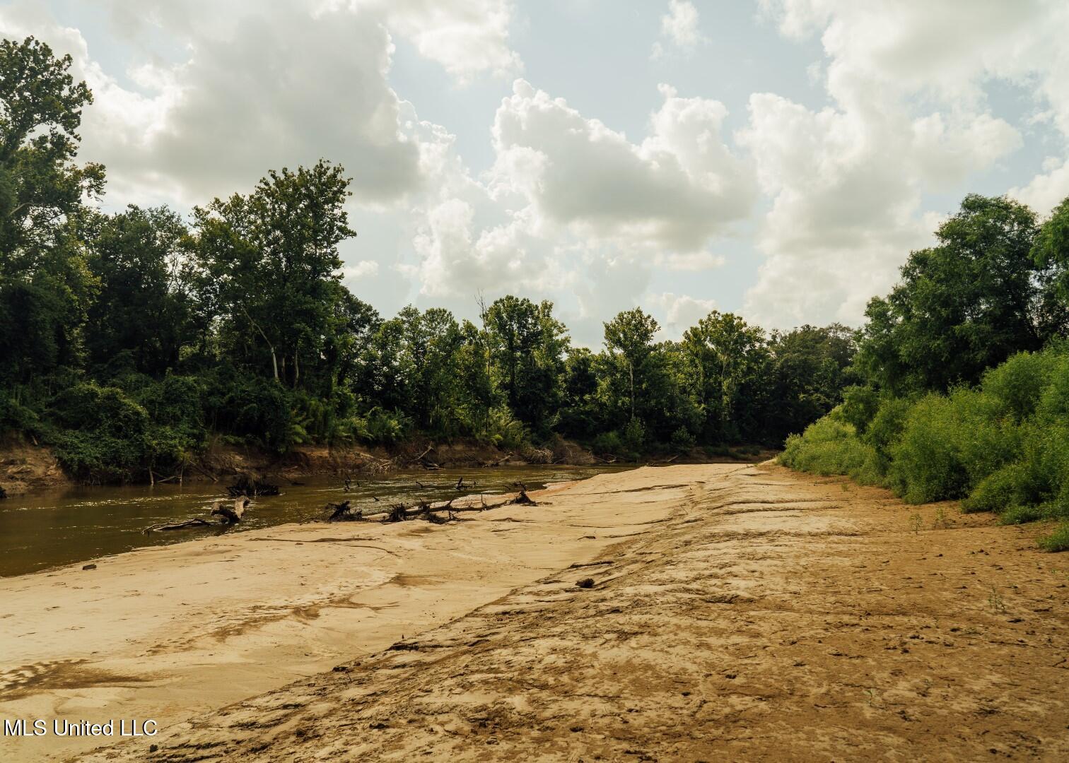1267 Way Road Canton, MS 39046 - Photo 25 of 50 Castens Creek Pics-57