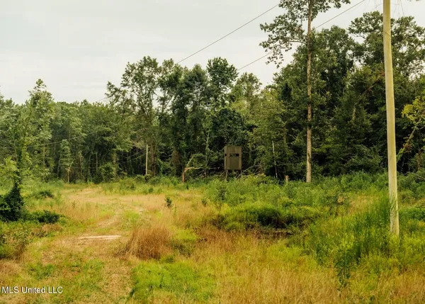$8,215,200 | 1267 Way Road, Canton, MS 39046