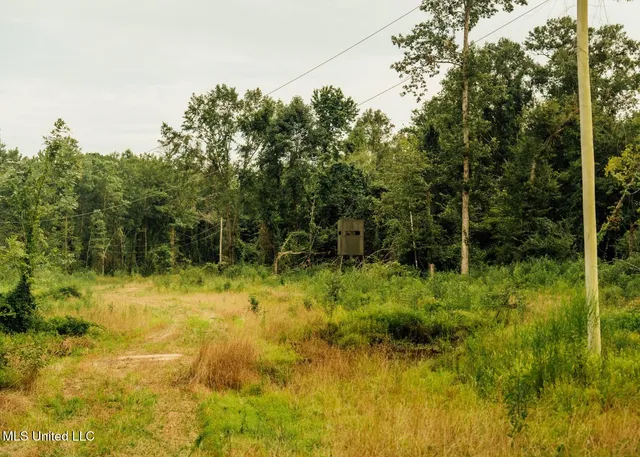 $8,215,200 | 1267 Way Road, Canton, MS 39046