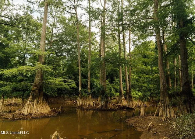 $8,215,200 | 1267 Way Road, Canton, MS 39046