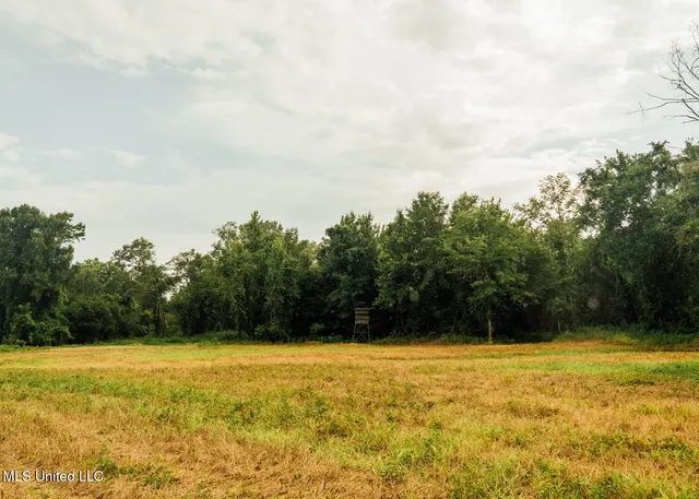 $8,215,200 | 1267 Way Road, Canton, MS 39046