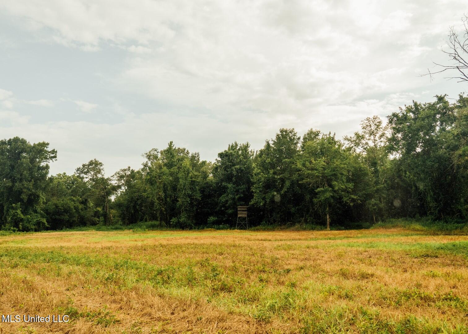 1267 Way Road Canton, MS 39046 - Photo 28 of 50 Castens Creek Pics-64