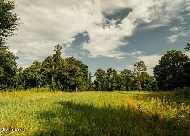 $8,215,200 | 1267 Way Road, Canton, MS 39046