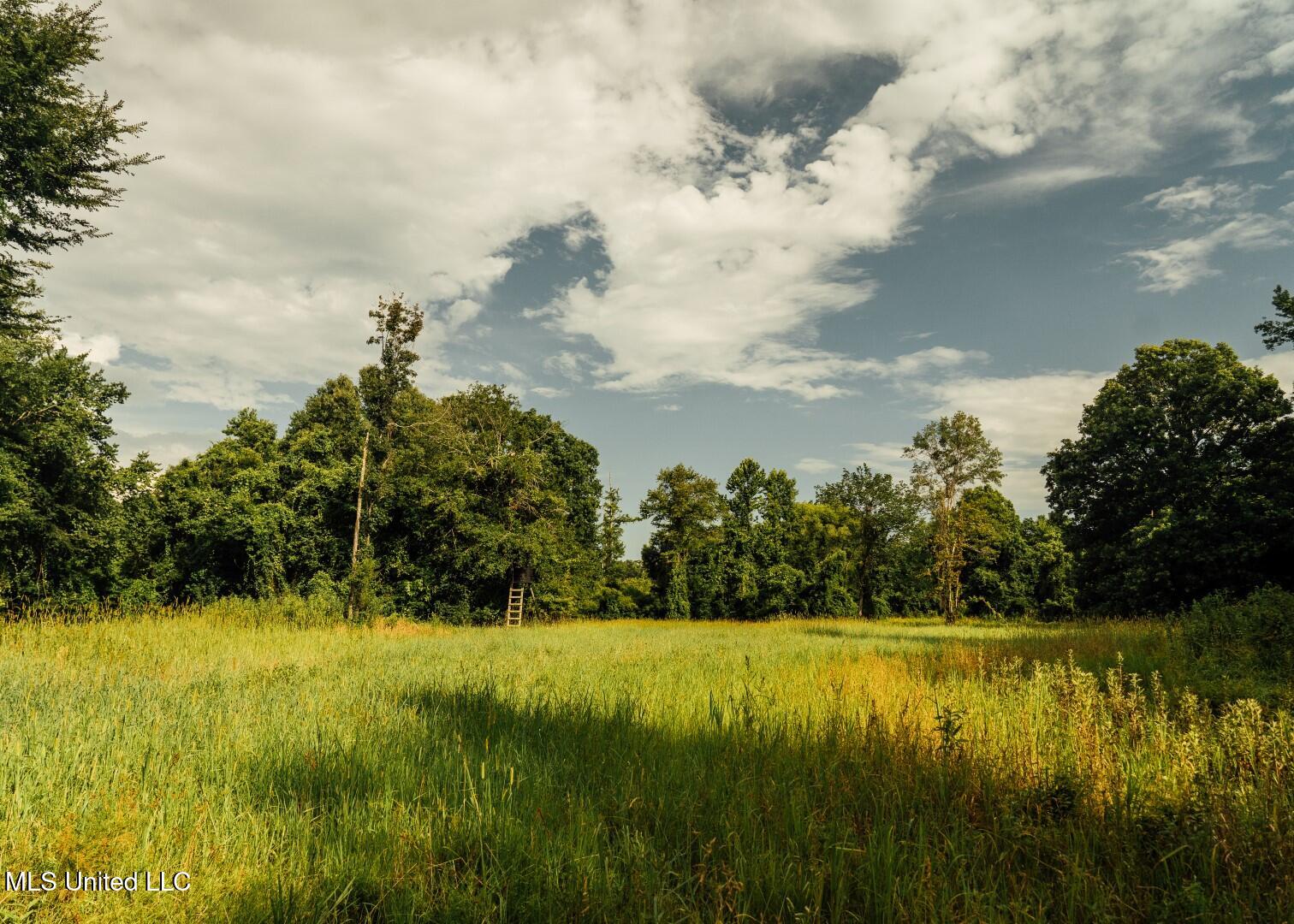 1267 Way Road Canton, MS 39046 - Photo 29 of 50 Castens Creek Pics-65