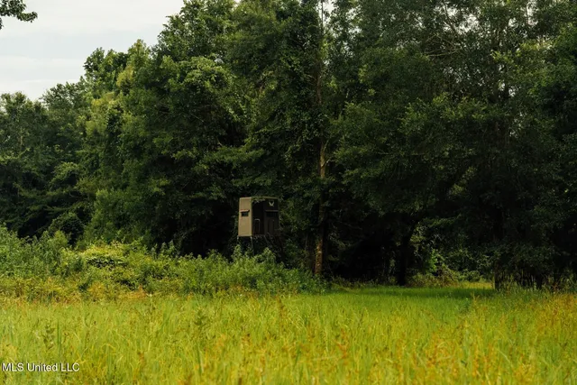 $8,215,200 | 1267 Way Road, Canton, MS 39046