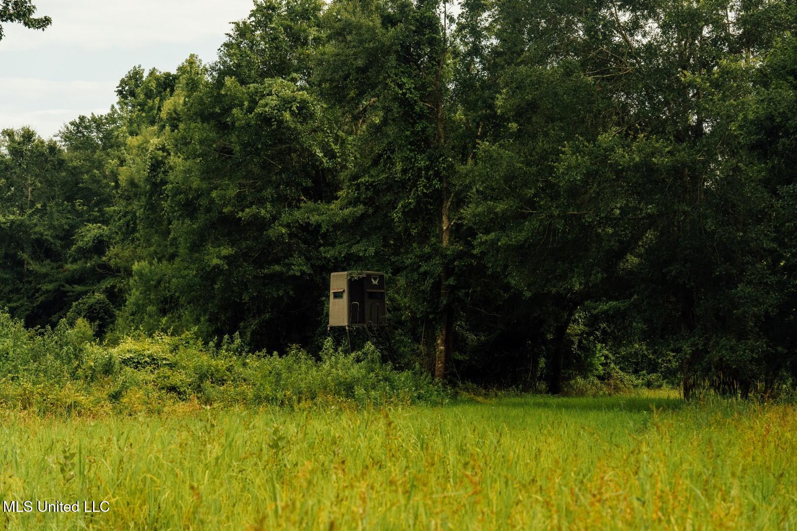 1267 Way Road Canton, MS 39046 - Photo 30 of 50 Castens Creek Pics-67