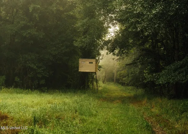 $8,215,200 | 1267 Way Road, Canton, MS 39046