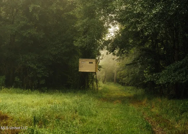 $8,215,200 | 1267 Way Road, Canton, MS 39046