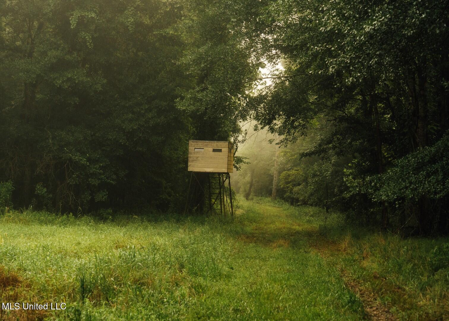 1267 Way Road Canton, MS 39046 - Photo 3 of 50 Castens Creek Pics-8