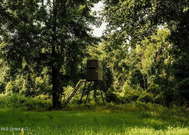 $8,215,200 | 1267 Way Road, Canton, MS 39046