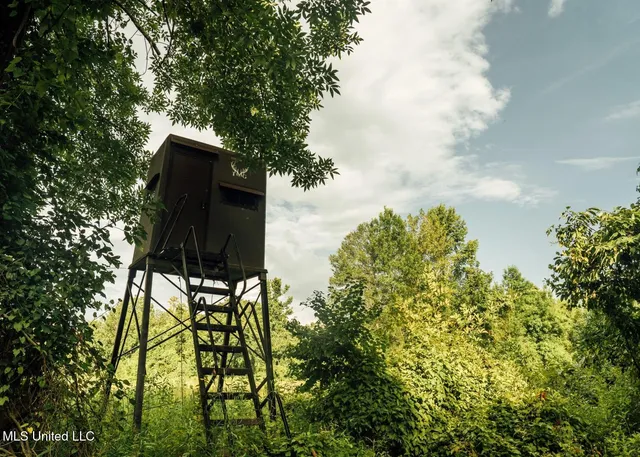 $8,215,200 | 1267 Way Road, Canton, MS 39046