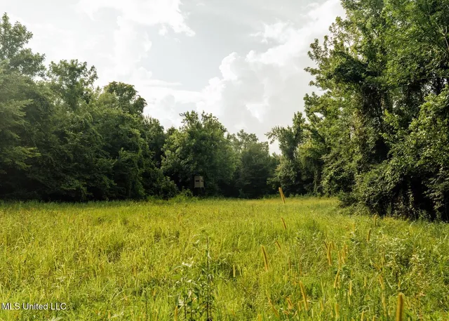 $8,215,200 | 1267 Way Road, Canton, MS 39046