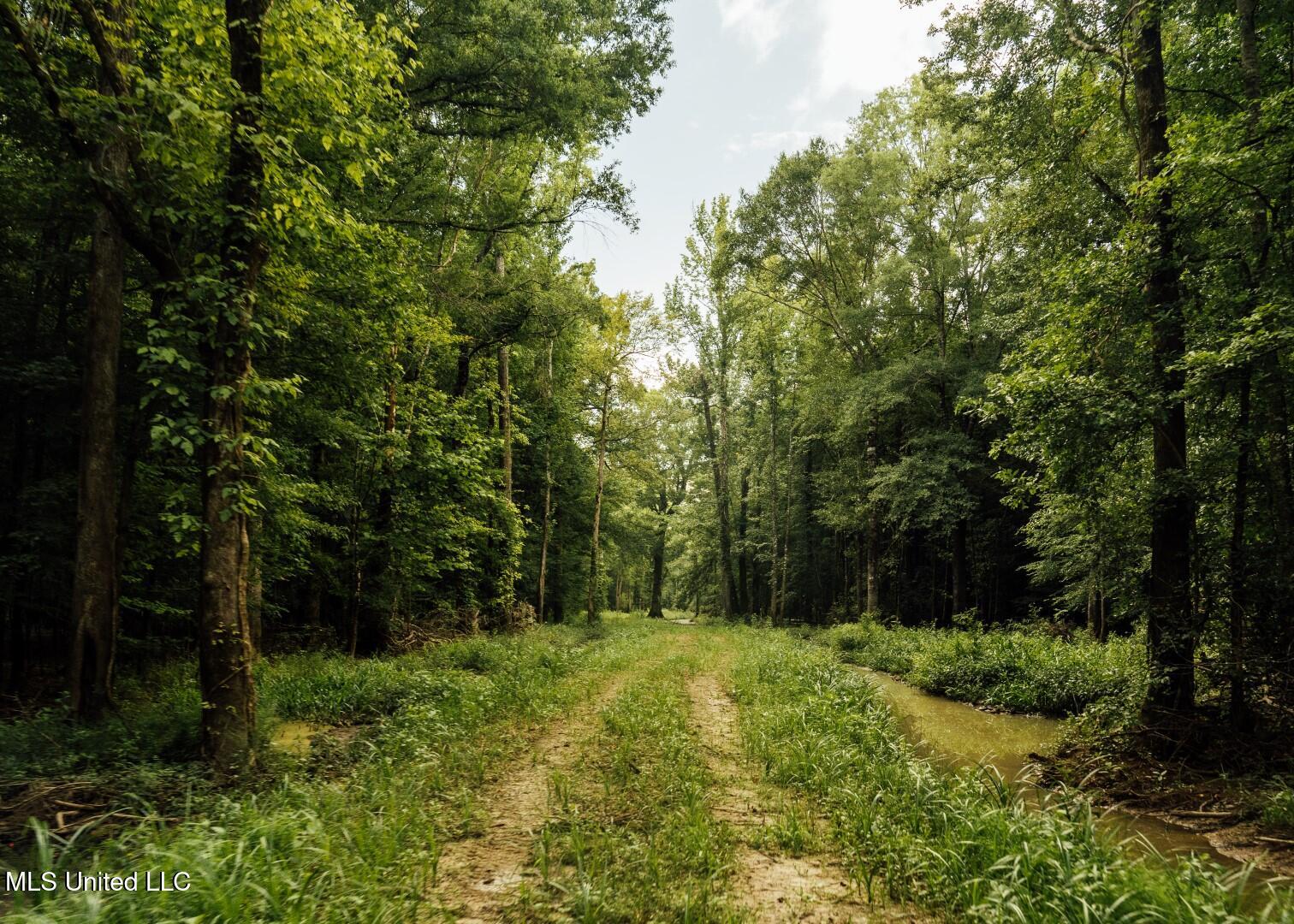 1267 Way Road Canton, MS 39046 - Photo 35 of 50 Castens Creek Pics-75