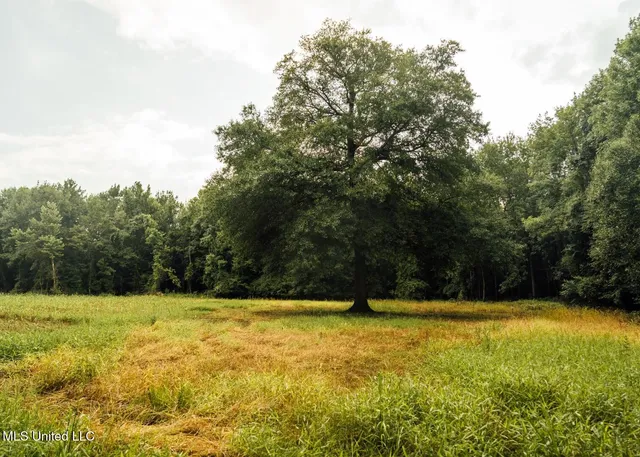 $8,215,200 | 1267 Way Road, Canton, MS 39046