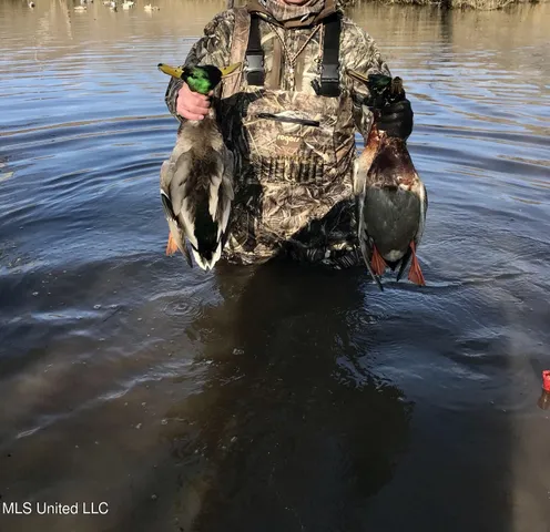 $8,215,200 | 1267 Way Road, Canton, MS 39046