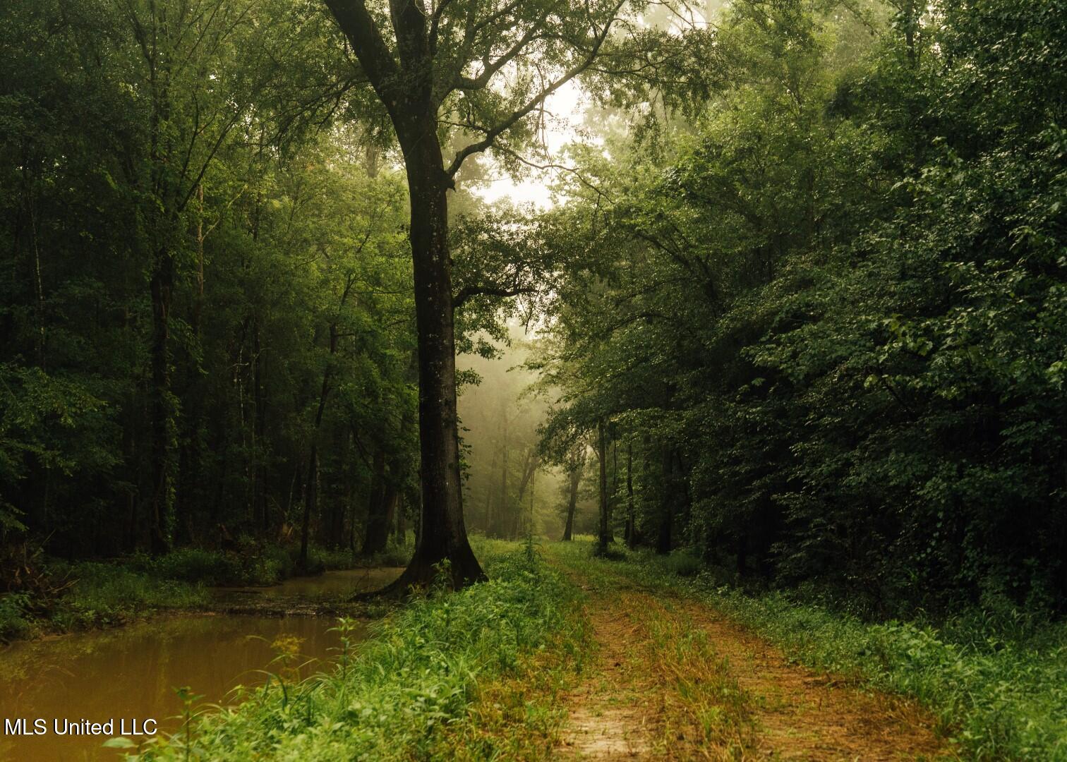 1267 Way Road Canton, MS 39046 - Photo 4 of 50 Castens Creek Pics-9