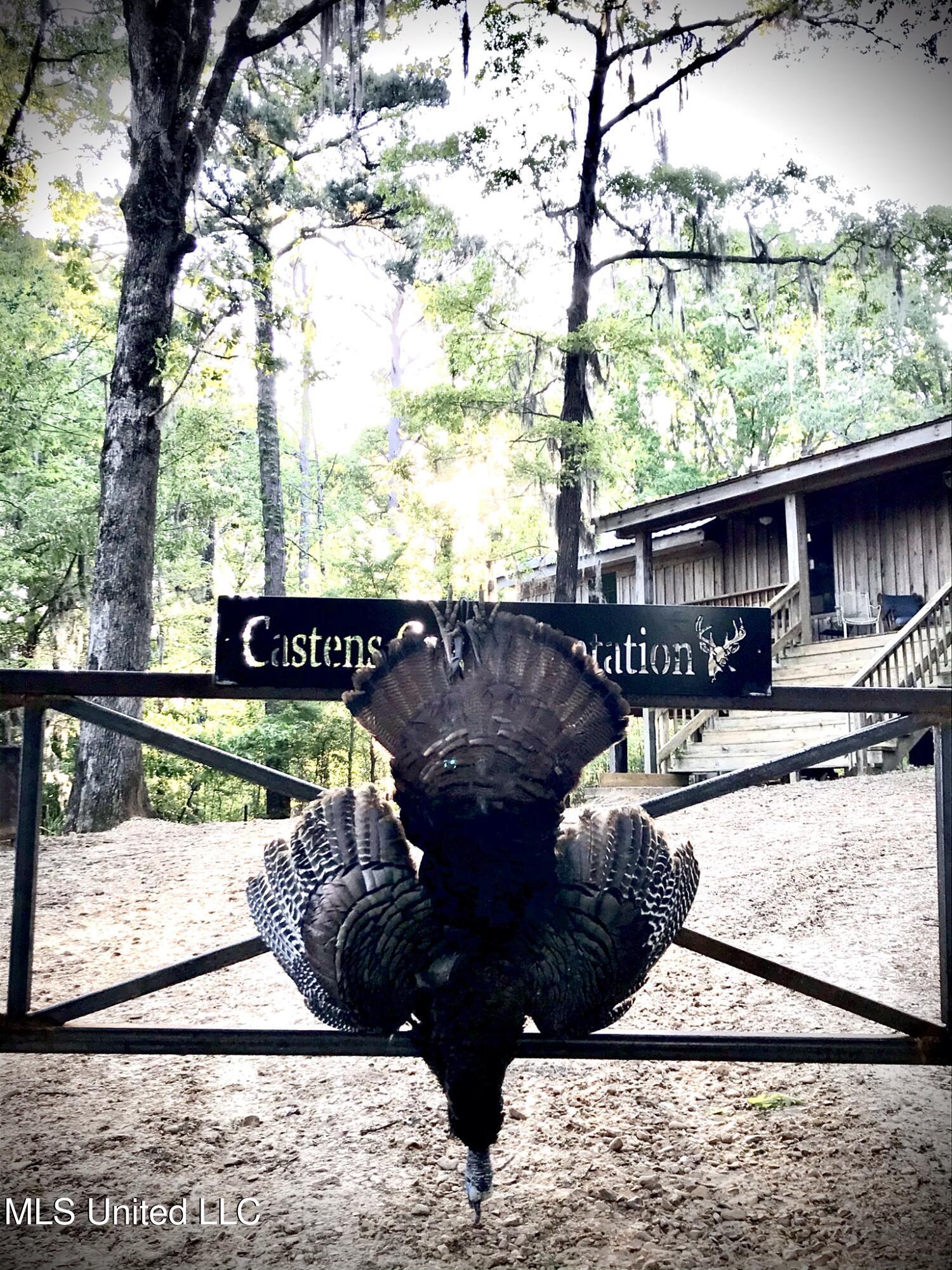 1267 Way Road Canton, MS 39046 - Photo 41 of 50 IMG_2021