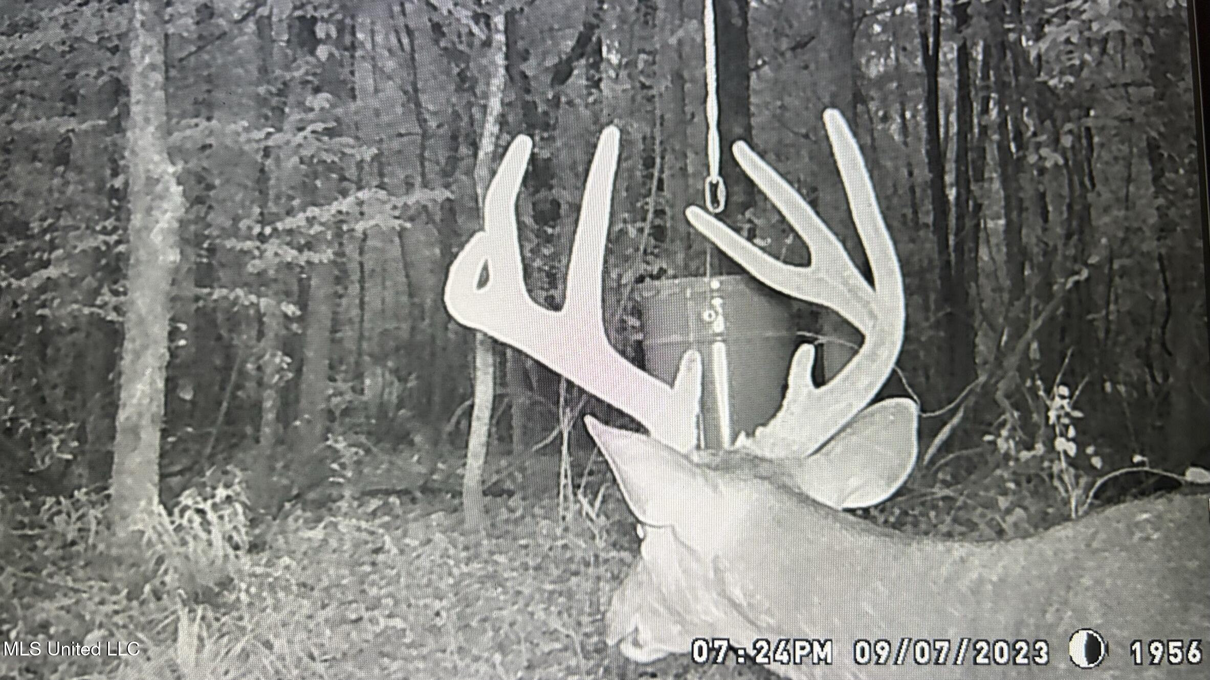 1267 Way Road Canton, MS 39046 - Photo 42 of 50 IMG_2699