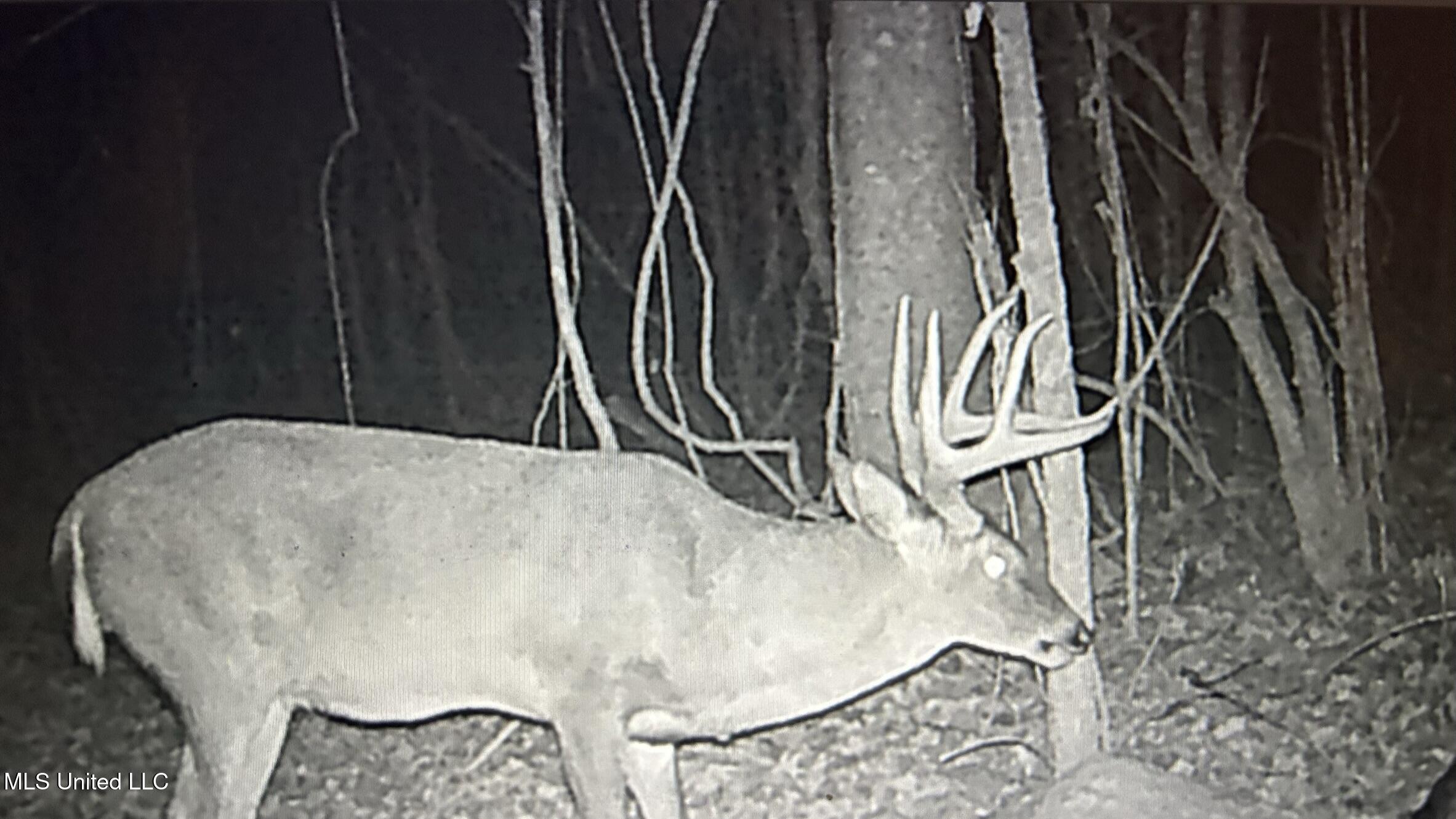 1267 Way Road Canton, MS 39046 - Photo 43 of 50 IMG_3544