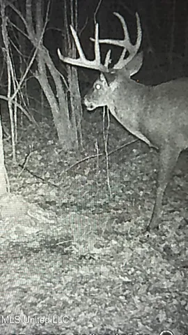 $8,215,200 | 1267 Way Road, Canton, MS 39046