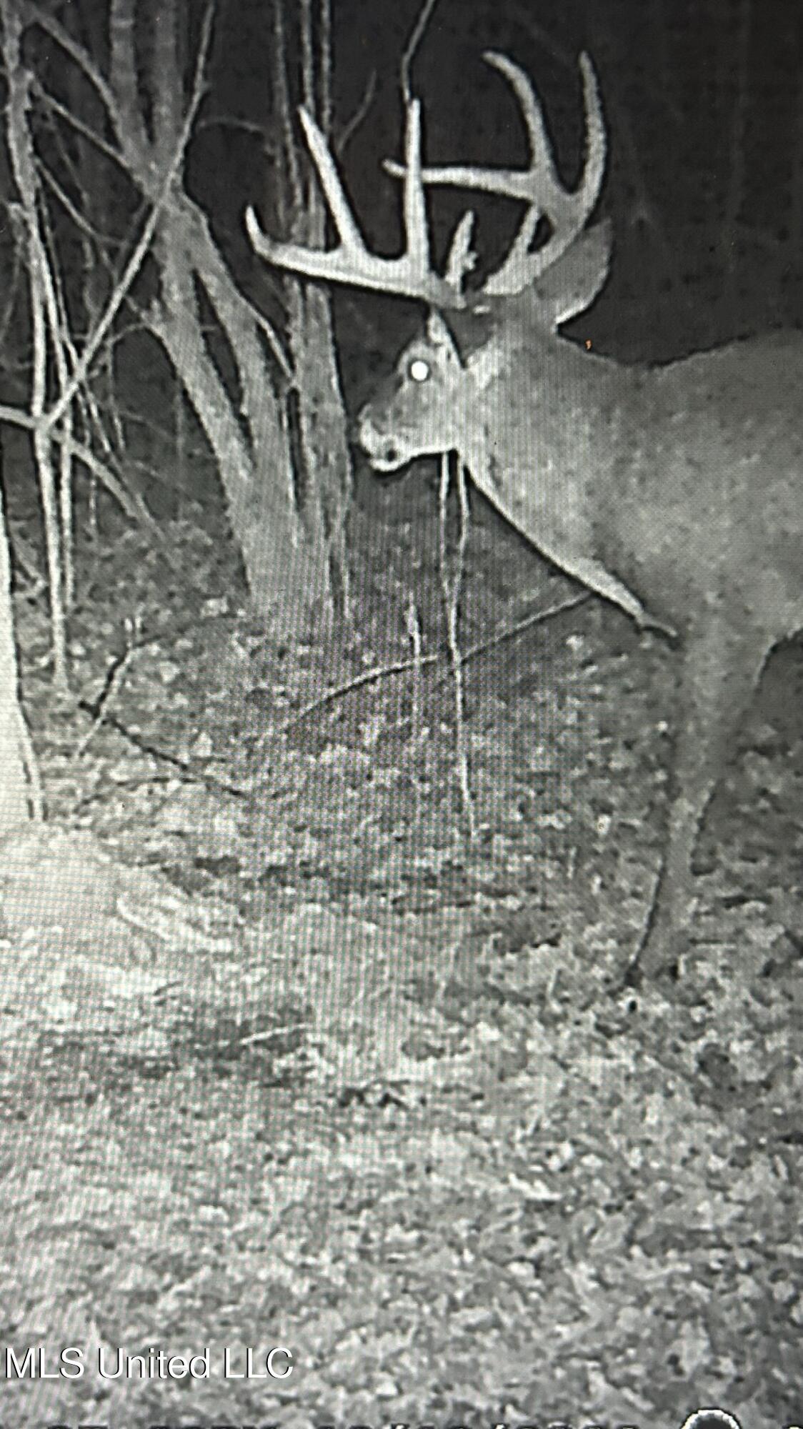 1267 Way Road Canton, MS 39046 - Photo 44 of 50 IMG_3820