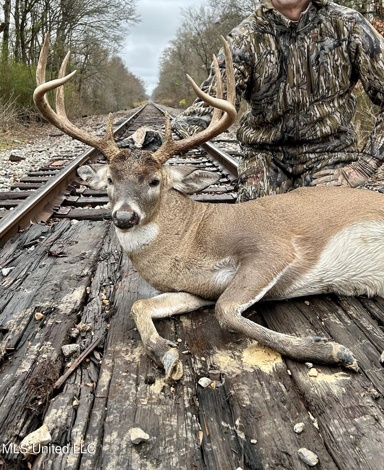 1267 Way Road Canton, MS 39046 - Photo 45 of 50 IMG_3937