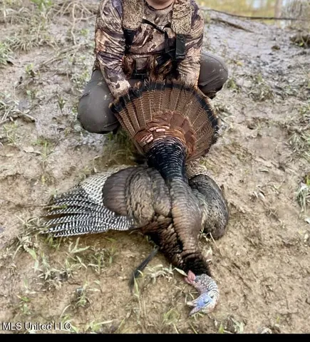 $8,215,200 | 1267 Way Road, Canton, MS 39046