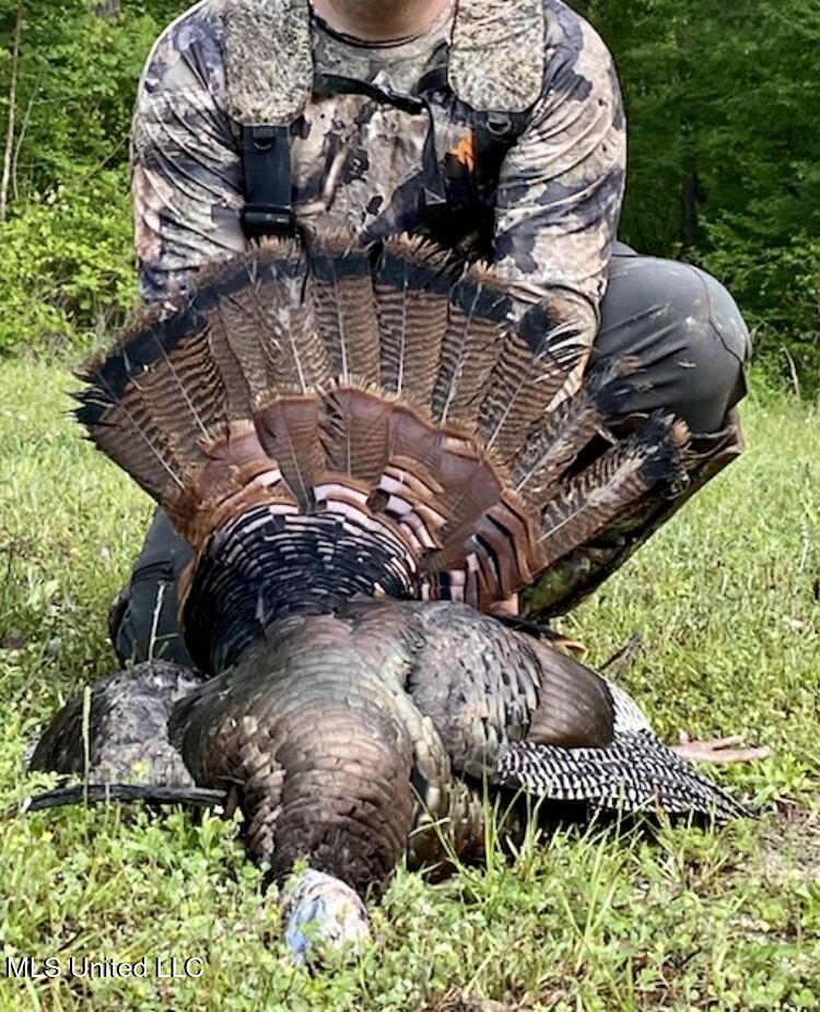 1267 Way Road Canton, MS 39046 - Photo 47 of 50 IMG_4270