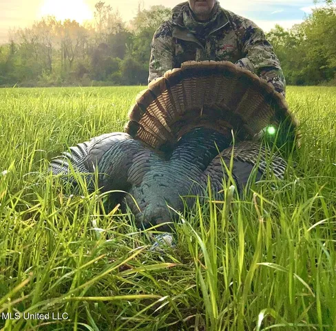 $8,215,200 | 1267 Way Road, Canton, MS 39046