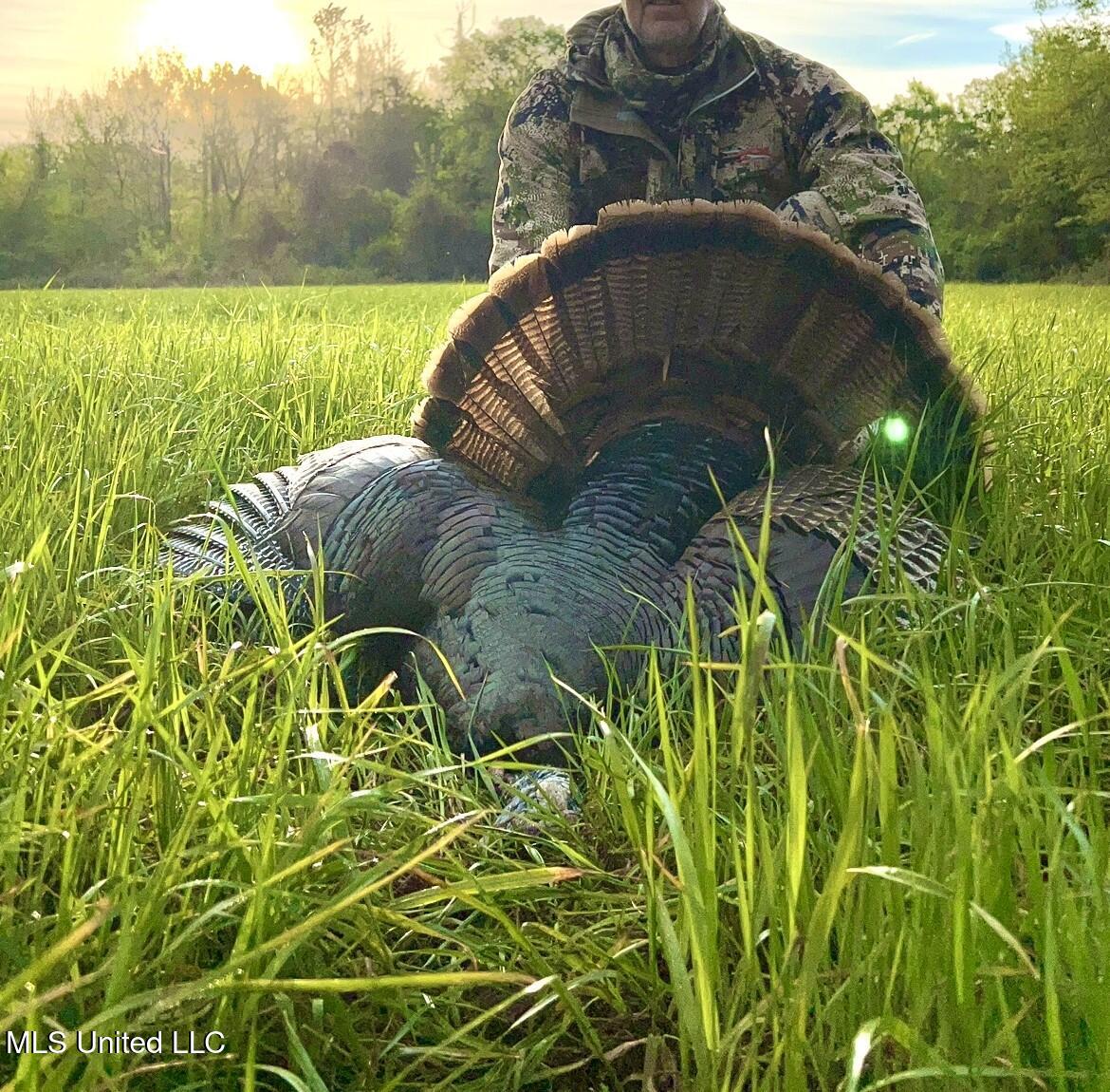 1267 Way Road Canton, MS 39046 - Photo 48 of 50 IMG_4718