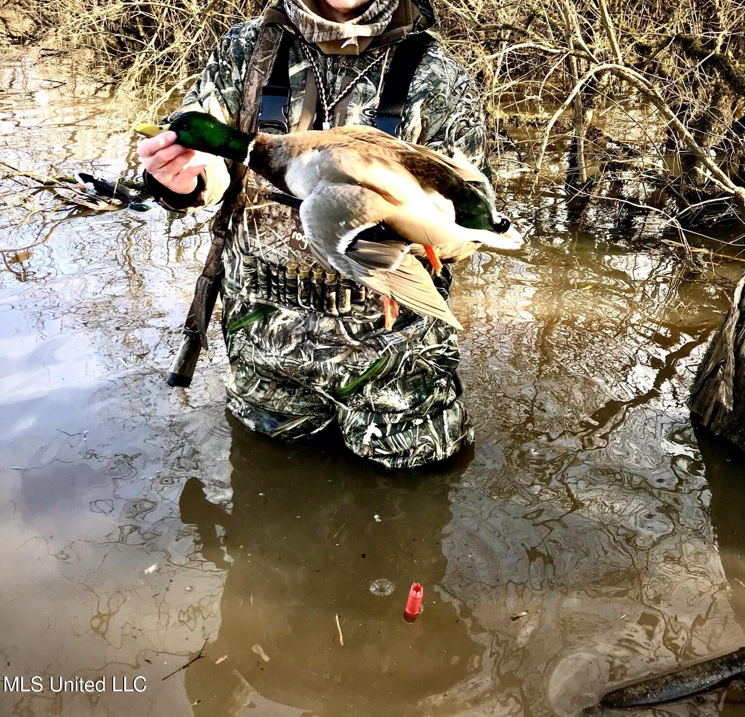 1267 Way Road Canton, MS 39046 - Photo 50 of 50 IMG_1359