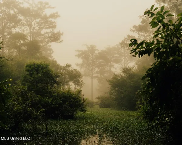 $8,215,200 | 1267 Way Road, Canton, MS 39046