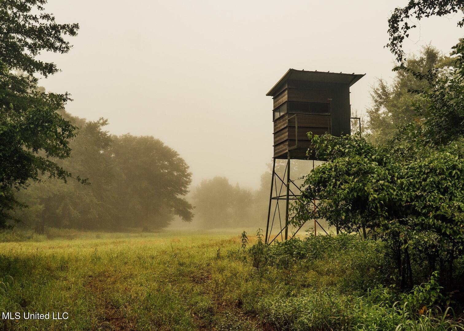 1267 Way Road Canton, MS 39046 - Photo 6 of 50 Castens Creek Pics-17