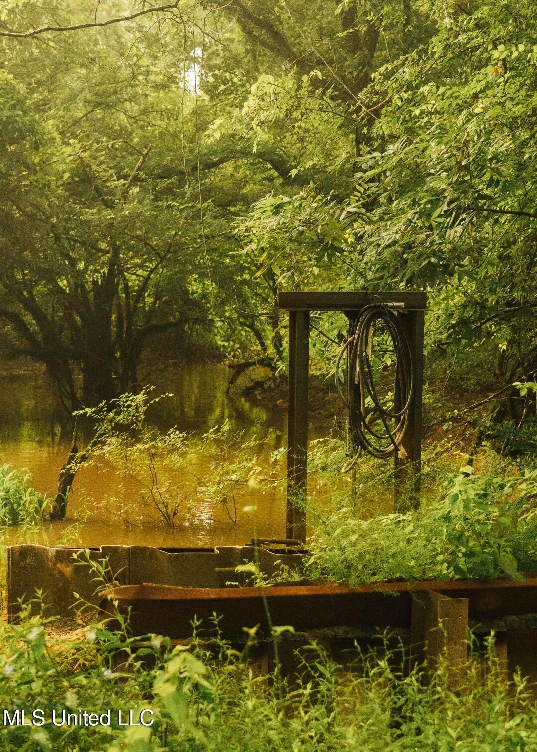 1267 Way Road Canton, MS 39046 - Photo 7 of 50 Castens Creek Pics-19