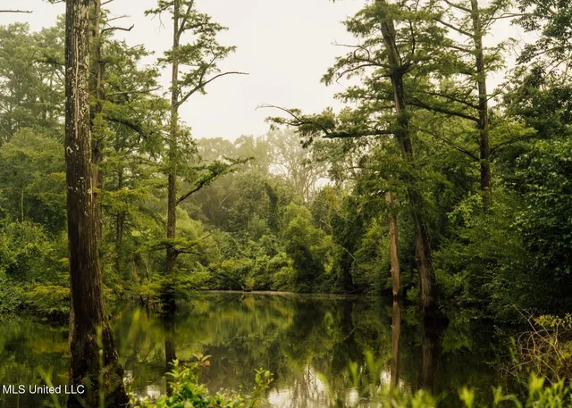 $8,215,200 | 1267 Way Road, Canton, MS 39046