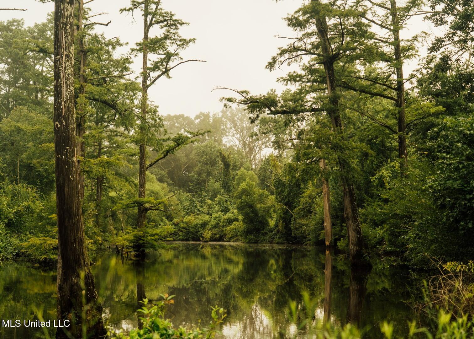 1267 Way Road Canton, MS 39046 - Photo 8 of 50 Castens Creek Pics-23