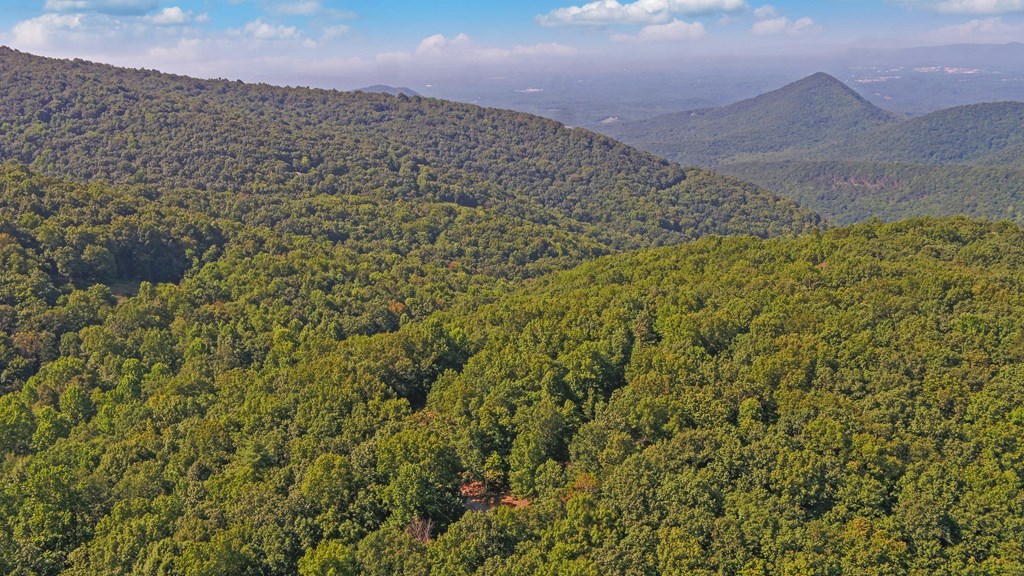 321 Shiloh Road Jasper, GA 30143 - Photo 39 of 50 Gallery Image 39