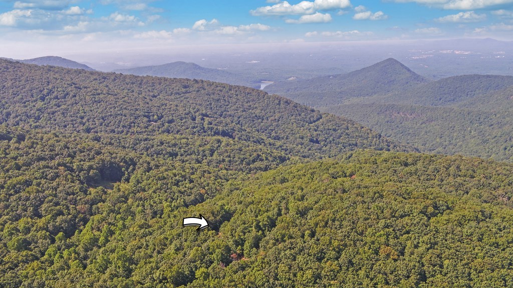 321 Shiloh Road Jasper, GA 30143 - Photo 42 of 50 Gallery Image 42