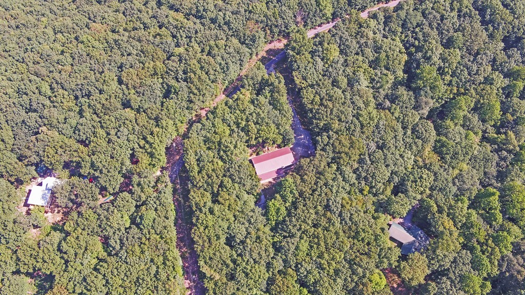 321 Shiloh Road Jasper, GA 30143 - Photo 45 of 50 Gallery Image 45