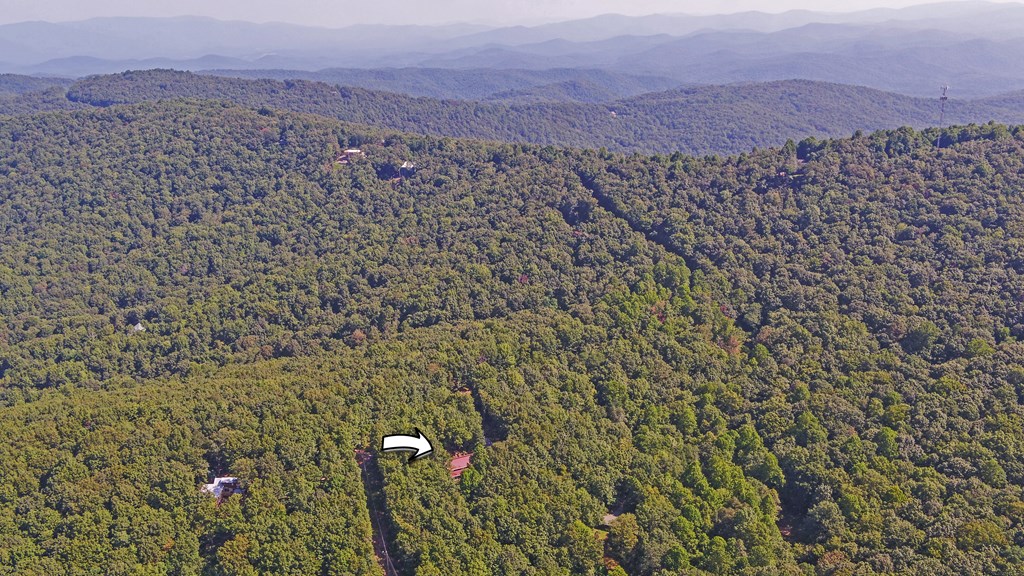 321 Shiloh Road Jasper, GA 30143 - Photo 46 of 50 Gallery Image 46
