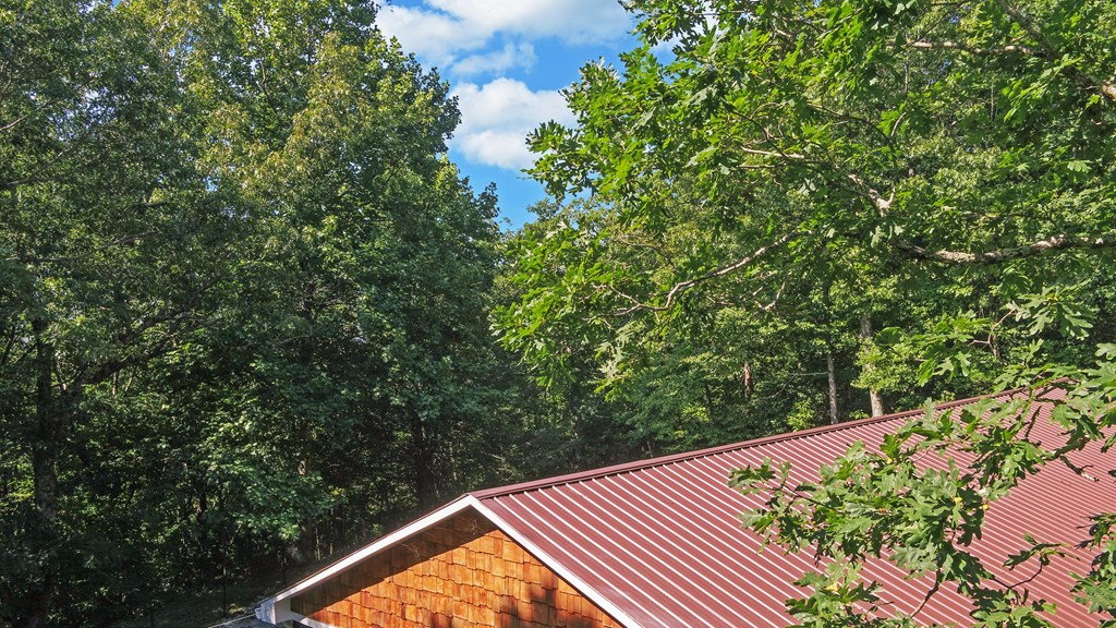 321 Shiloh Road Jasper, GA 30143 - Photo 49 of 50 Gallery Image 49
