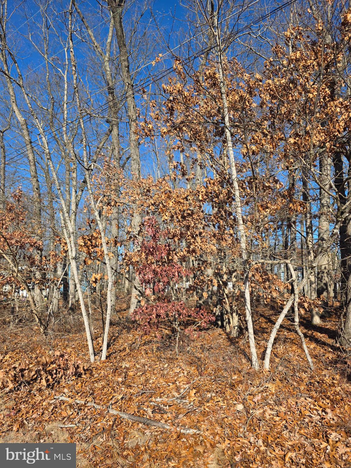 Thompson Avenue Waterford Works, NJ 08089 - Photo 2 of 6