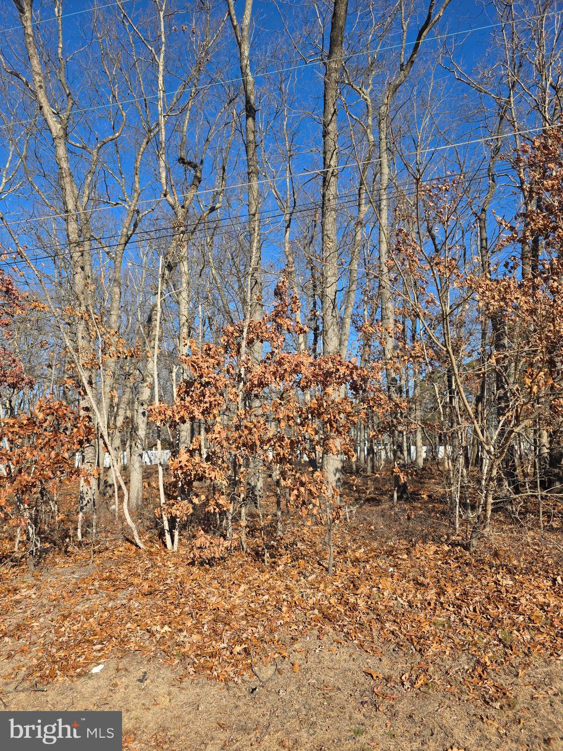 Thompson Avenue Waterford Works, NJ 08089 - Photo 3 of 6