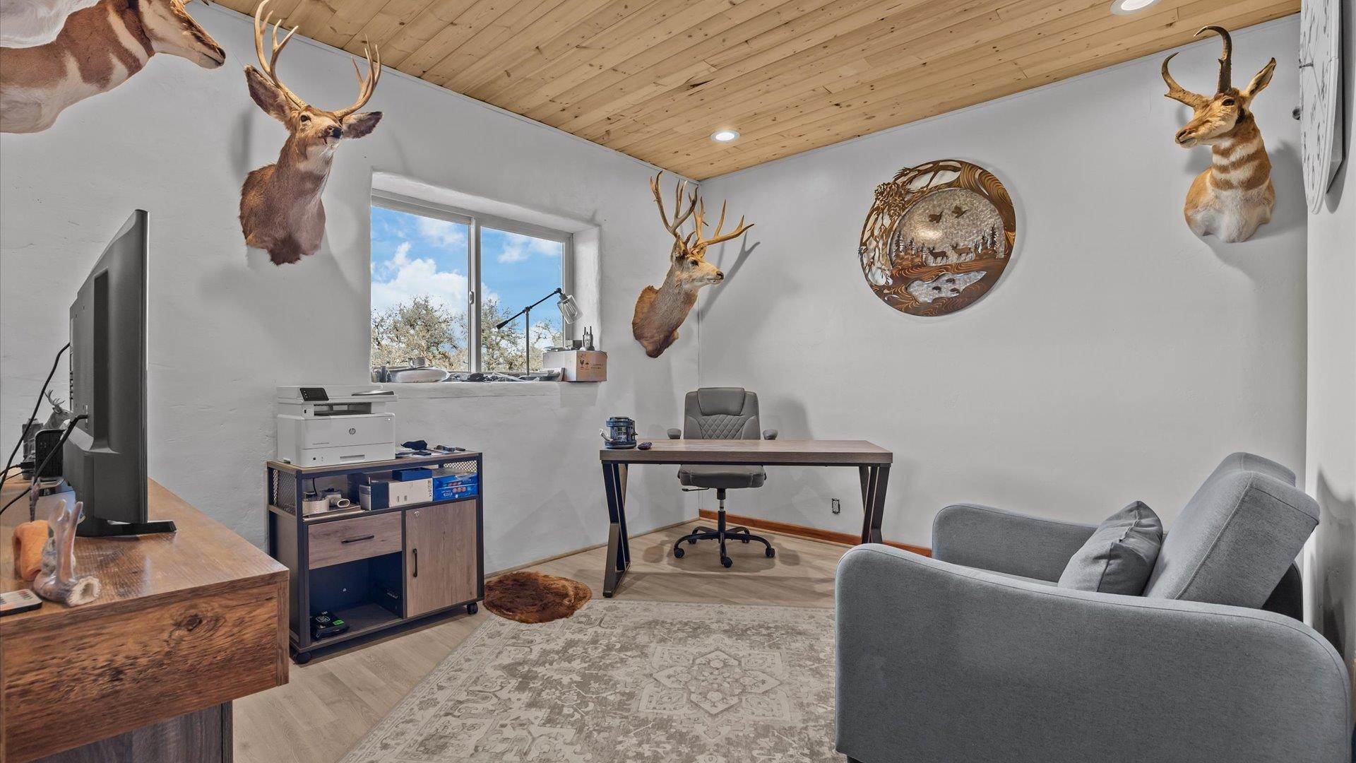 10795 52 52 1/2 Road Molina, CO 81646 - Photo 23 of 41 a living room with furniture and a flat screen tv