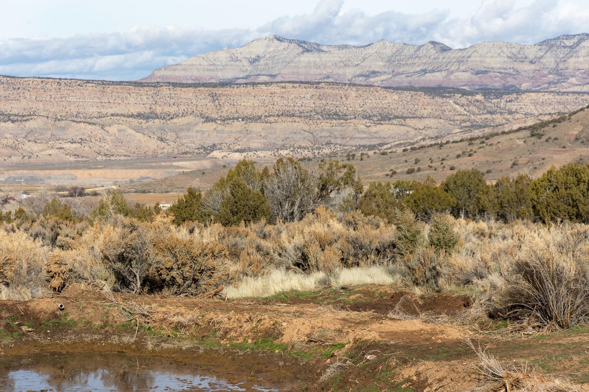 10795 52 52 1/2 Road Molina, CO 81646 - Photo 27 of 41