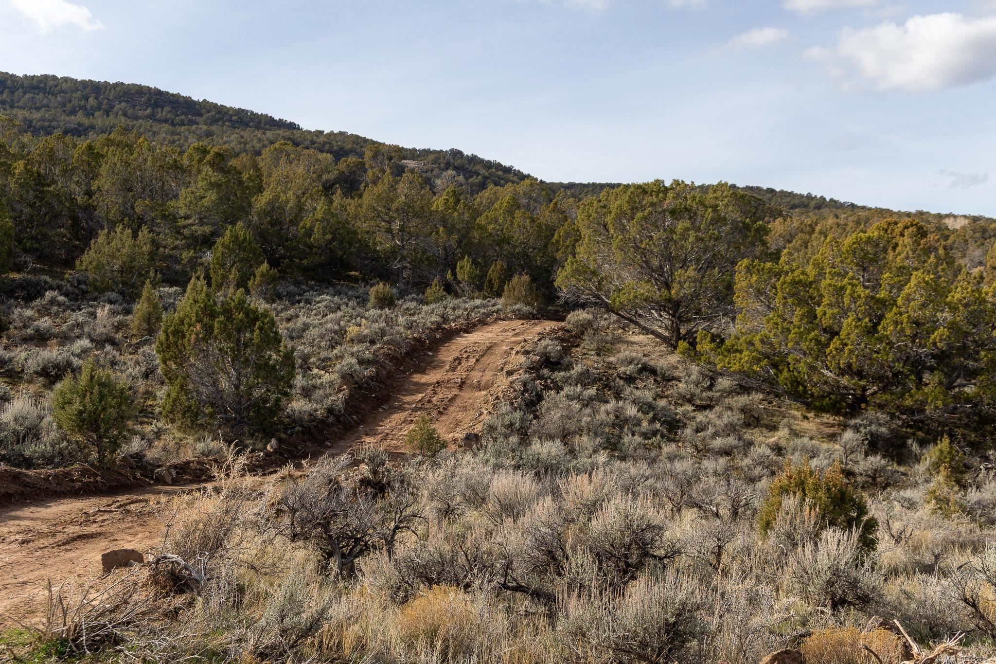 10795 52 52 1/2 Road Molina, CO 81646 - Photo 8 of 41 a view of a mountain in the distance in a field