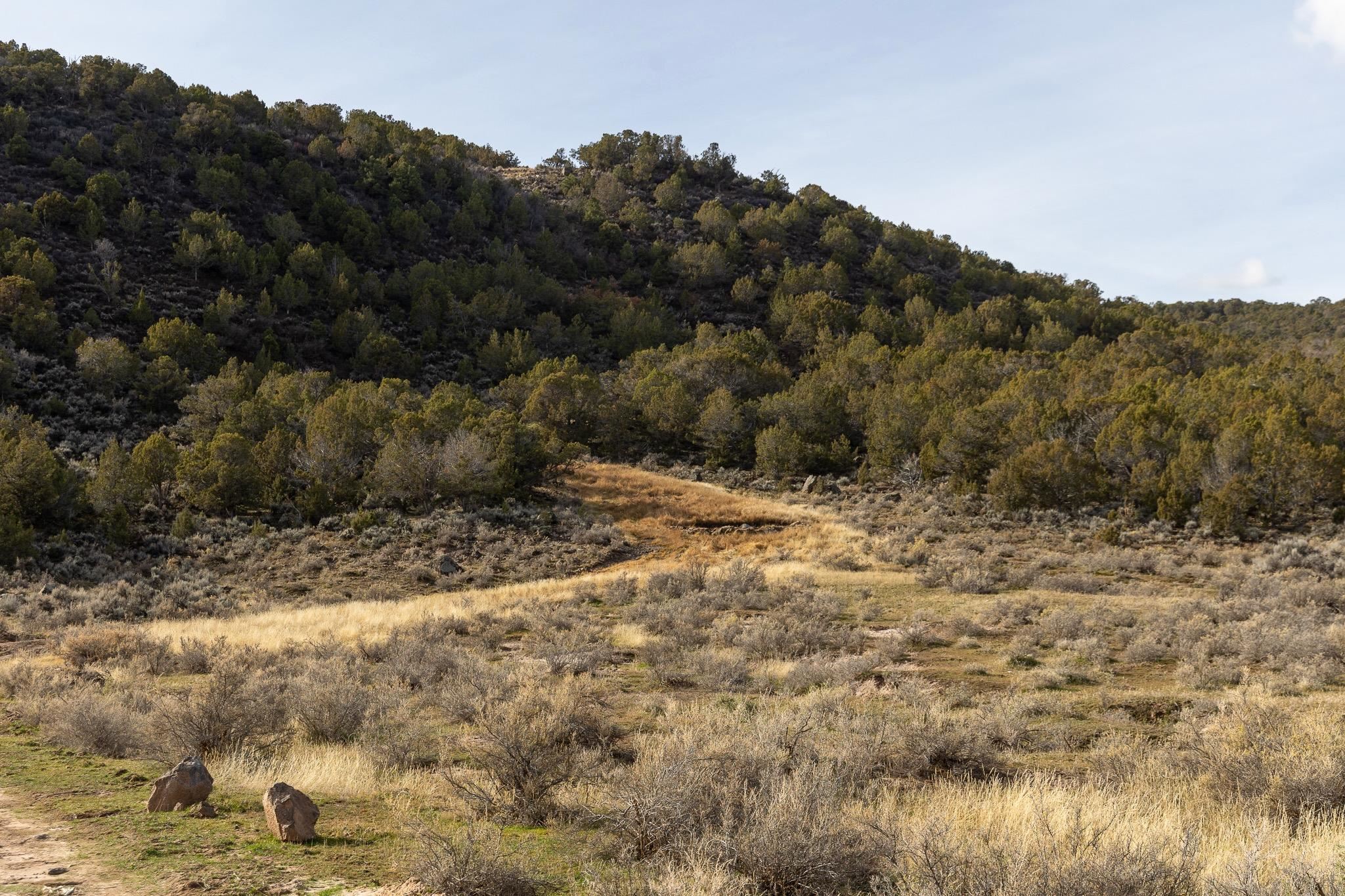 10795 52 52 1/2 Road Molina, CO 81646 - Photo 10 of 41 a view of a yard