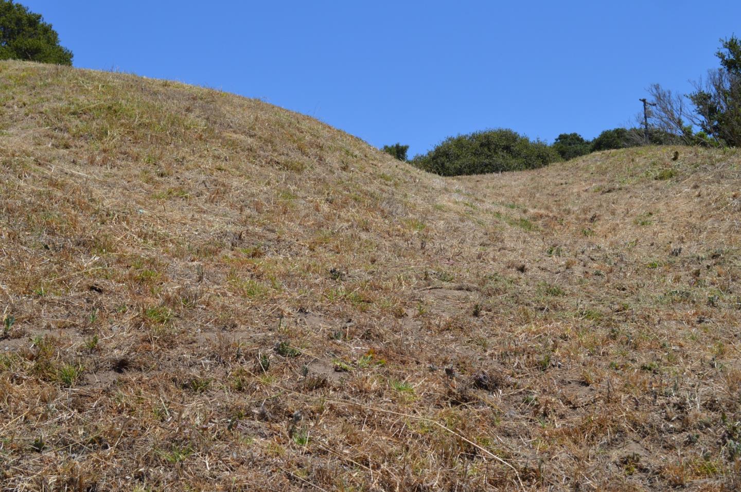 29 Clausen Road Watsonville, CA 95076 - Photo 9 of 14 Gallery Image 9